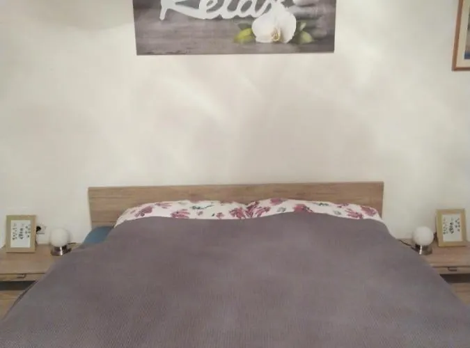 Hedys * Spiegelsberg